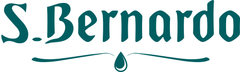 Logo_S.Bernardo_X fondochiaro